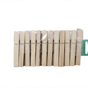 24pcs Wooden Pegs (100pcs.)